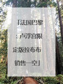 法国巴黎：卢浮宫限定版拉布布销售一空