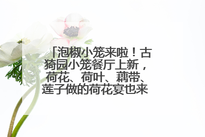 泡椒小笼来啦！古猗园小笼餐厅上新，荷花、荷叶、藕带、莲子做的荷花宴也来尝一下？