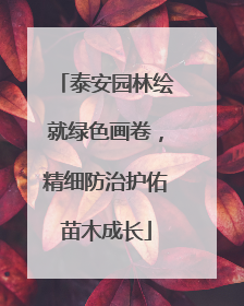 泰安园林绘就绿色画卷，精细防治护佑苗木成长