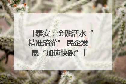 泰安：金融活水“精准滴灌” 民企发展“加速快跑”