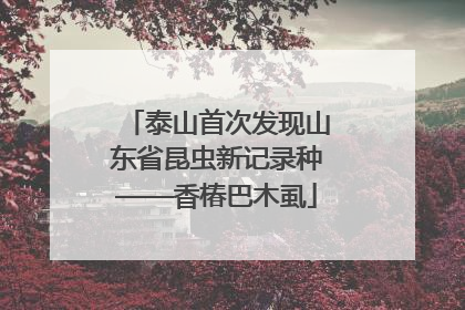 泰山首次发现山东省昆虫新记录种——香椿巴木虱