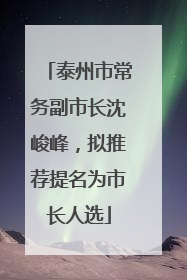 泰州市常务副市长沈峻峰，拟推荐提名为市长人选