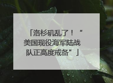 洛杉矶乱了！“美国现役海军陆战队正高度戒备”