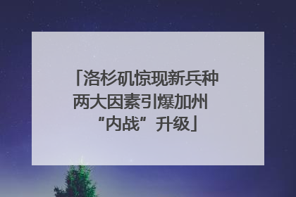 洛杉矶惊现新兵种 两大因素引爆加州“内战”升级