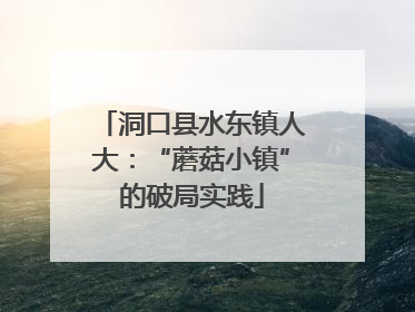 洞口县水东镇人大：“蘑菇小镇”的破局实践