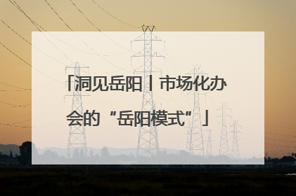 洞见岳阳丨市场化办会的“岳阳模式”