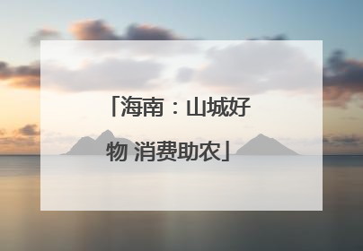 海南：山城好物 消费助农
