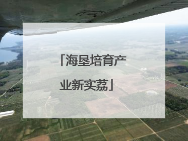 海垦培育产业新实荔