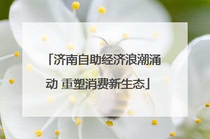 济南自助经济浪潮涌动 重塑消费新生态