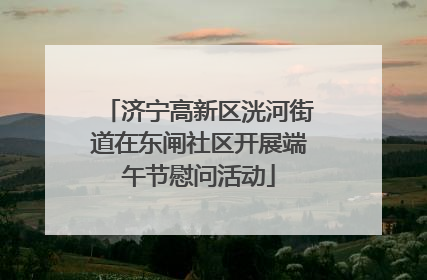 济宁高新区洸河街道在东闸社区开展端午节慰问活动
