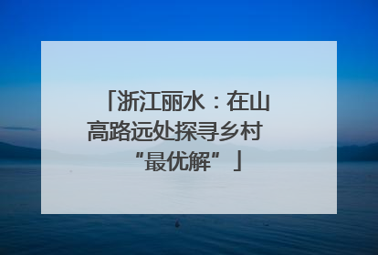 浙江丽水：在山高路远处探寻乡村“最优解”