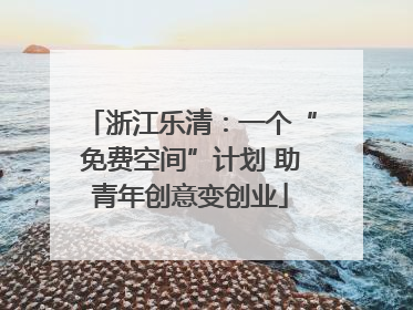 浙江乐清：一个“免费空间”计划 助青年创意变创业