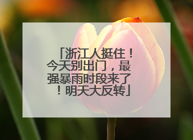 浙江人挺住！今天别出门，最强暴雨时段来了！明天大反转