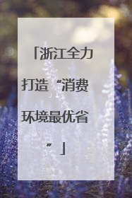 浙江全力打造“消费环境最优省”