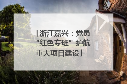 浙江嘉兴：党员“红色专班”护航重大项目建设