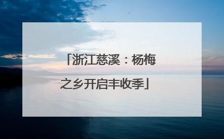 浙江慈溪：杨梅之乡开启丰收季