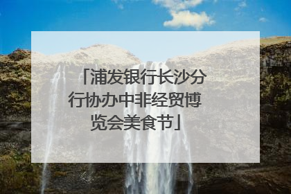 浦发银行长沙分行协办中非经贸博览会美食节
