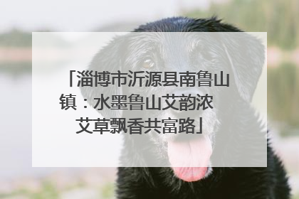 淄博市沂源县南鲁山镇：水墨鲁山艾韵浓 艾草飘香共富路