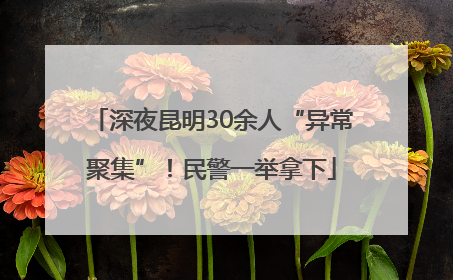 深夜昆明30余人“异常聚集”！民警一举拿下