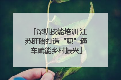 深耕技能培训 江苏盱眙打造“职”通车赋能乡村振兴