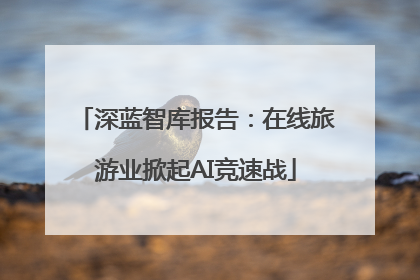 深蓝智库报告：在线旅游业掀起AI竞速战
