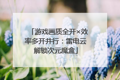 游戏画质全开×效率多开并行：雷电云解锁次元魔盒