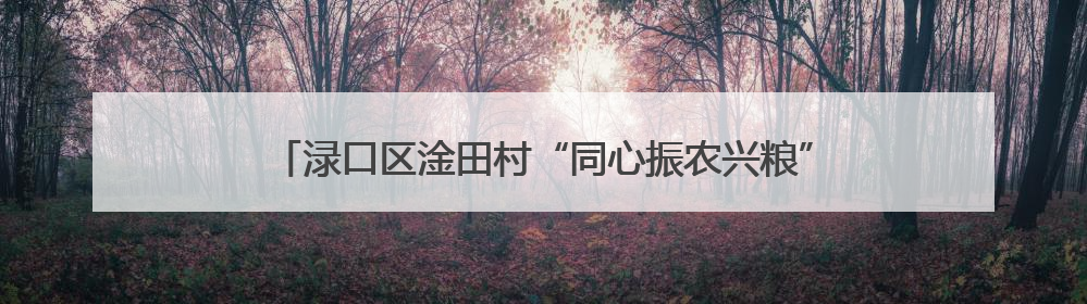渌口区淦田村“同心振农兴粮”大赛上演农耕“速度与激情”