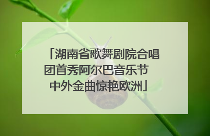 湖南省歌舞剧院合唱团首秀阿尔巴音乐节 中外金曲惊艳欧洲