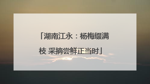 湖南江永：杨梅缀满枝 采摘尝鲜正当时