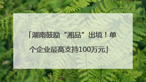 湖南鼓励“湘品”出境！单个企业最高支持100万元
