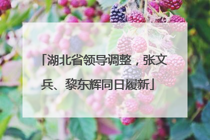 湖北省领导调整，张文兵、黎东辉同日履新