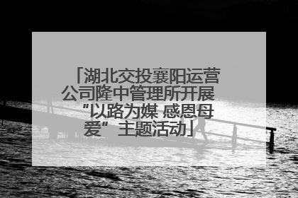 湖北交投襄阳运营公司隆中管理所开展“以路为媒 感恩母爱”主题活动