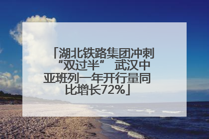 湖北铁路集团冲刺“双过半” 武汉中亚班列一年开行量同比增长72%