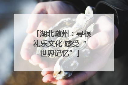 湖北随州：寻根礼乐文化 感受“世界记忆”