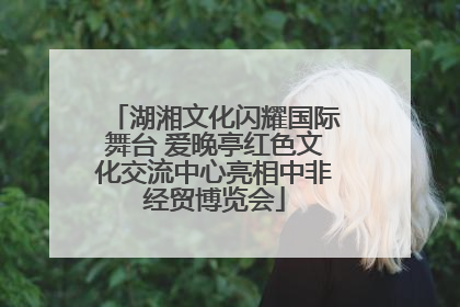 湖湘文化闪耀国际舞台 爱晚亭红色文化交流中心亮相中非经贸博览会
