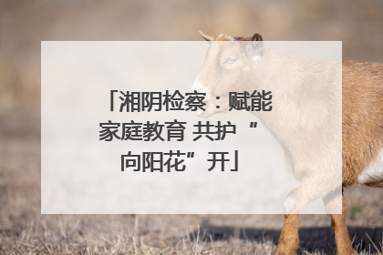 湘阴检察：赋能家庭教育 共护“向阳花”开