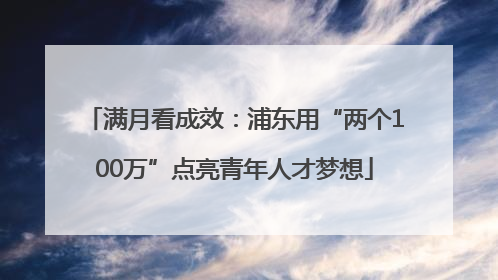 满月看成效：浦东用“两个100万”点亮青年人才梦想