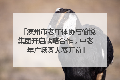 滨州市老年体协与愉悦集团开启战略合作，中老年广场舞大赛开幕