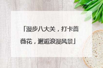 漫步八大关，打卡蔷薇花，邂逅浪漫风景