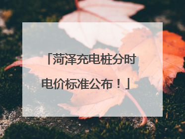 菏泽充电桩分时电价标准公布！