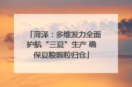 菏泽：多维发力全面护航“三夏”生产 确保夏粮颗粒归仓