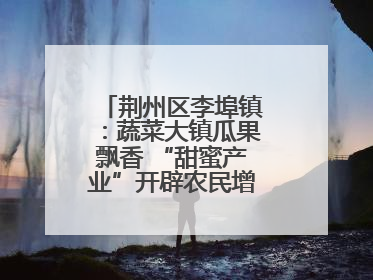 荆州区李埠镇：蔬菜大镇瓜果飘香 “甜蜜产业”开辟农民增收“新赛道”
