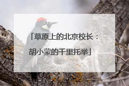 草原上的北京校长：胡小蒙的千里托举