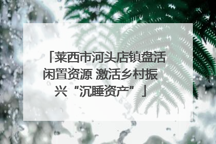 莱西市河头店镇盘活闲置资源 激活乡村振兴“沉睡资产”
