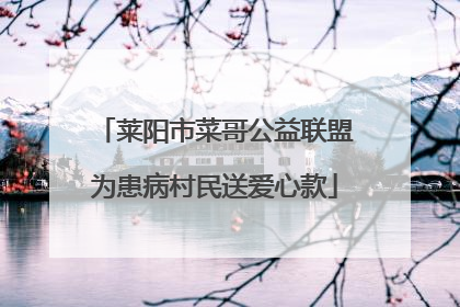 莱阳市菜哥公益联盟为患病村民送爱心款