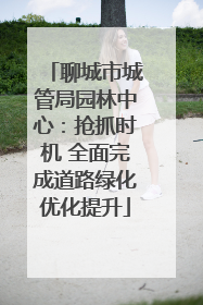 聊城市城管局园林中心：抢抓时机 全面完成道路绿化优化提升