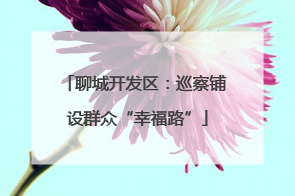 聊城开发区：巡察铺设群众“幸福路”