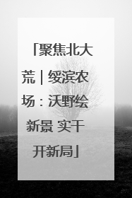 聚焦北大荒｜绥滨农场：沃野绘新景 实干开新局