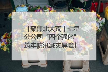 聚焦北大荒｜七星分公司“四个强化”筑牢防汛减灾屏障