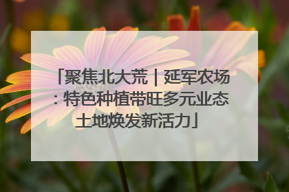 聚焦北大荒｜延军农场：特色种植带旺多元业态 土地焕发新活力